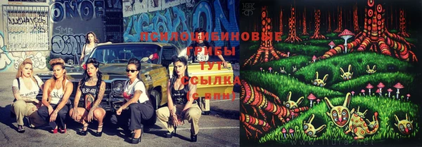 гидропоника Вязьма